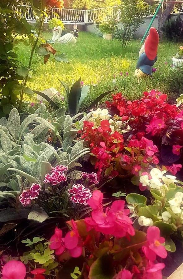 Apartman Nata سينج المظهر الخارجي الصورة